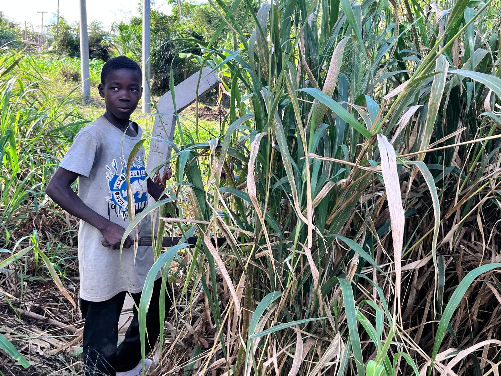 Nunya Village beginning
