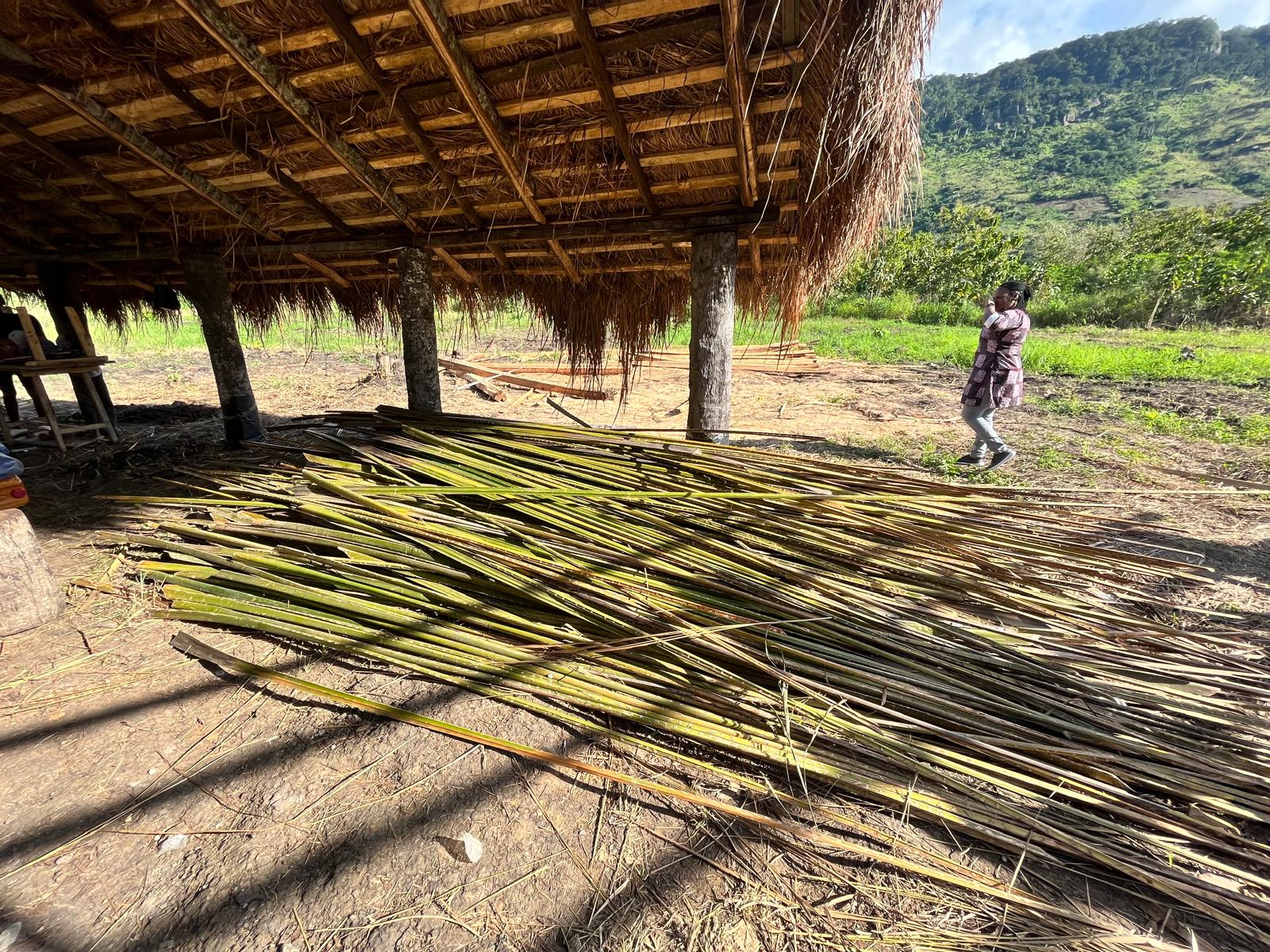 Nunya Village beginning